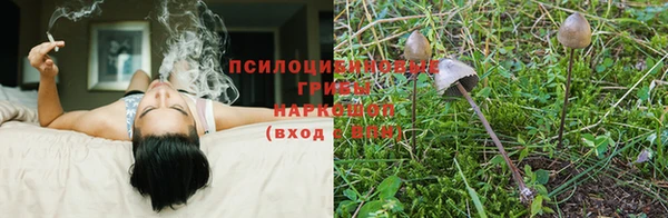 скорость Алексеевка