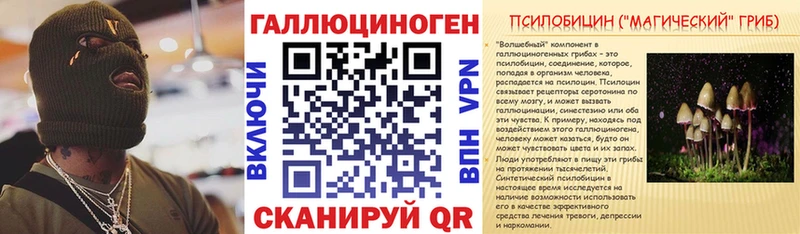 Галлюциногенные грибы мицелий  Александров 